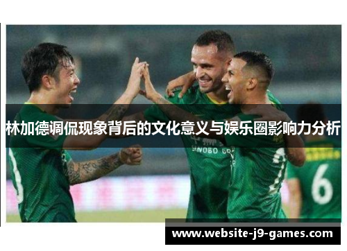 林加德调侃现象背后的文化意义与娱乐圈影响力分析