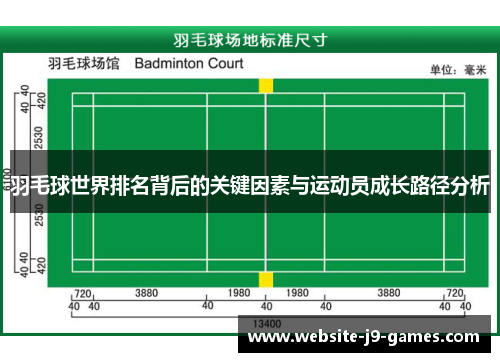 羽毛球世界排名背后的关键因素与运动员成长路径分析 羽毛球世界排名背后的关键因素与运动员成长路径分析