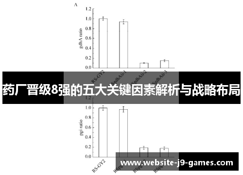 药厂晋级8强的五大关键因素解析与战略布局 药厂晋级8强的五大关键因素解析与战略布局