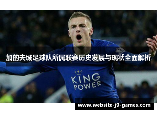 加的夫城足球队所属联赛历史发展与现状全面解析